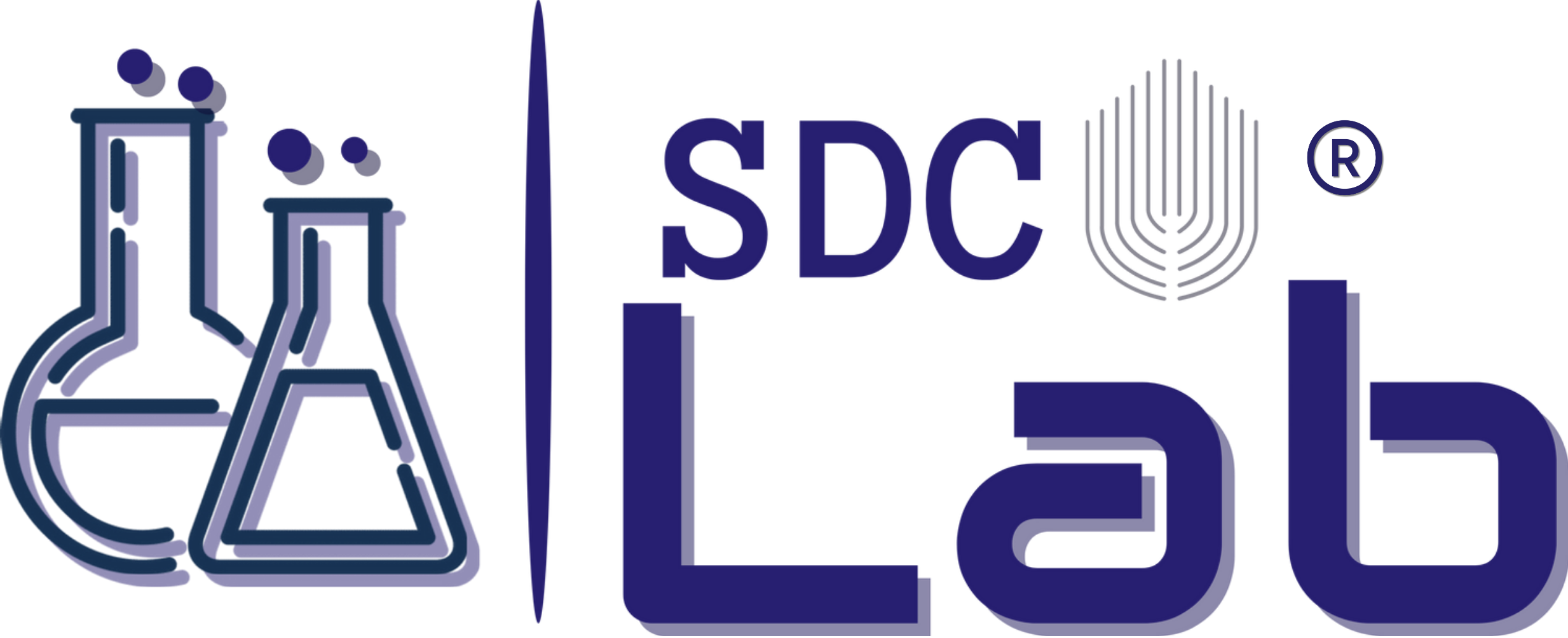 SDC LAB